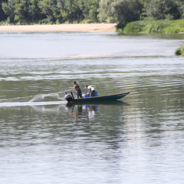 pêche randonnée canoe
